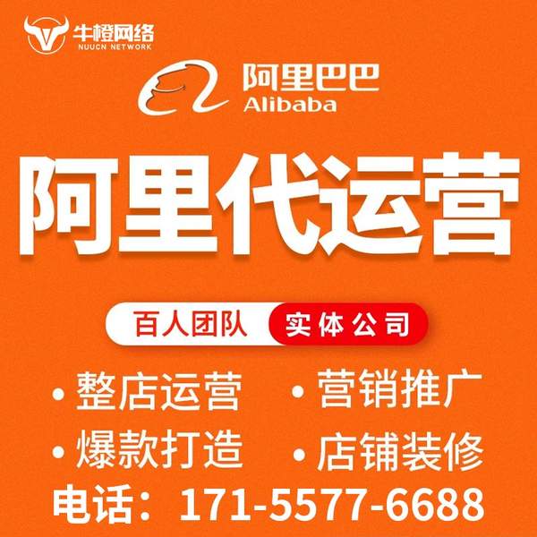岑溪电商代运营