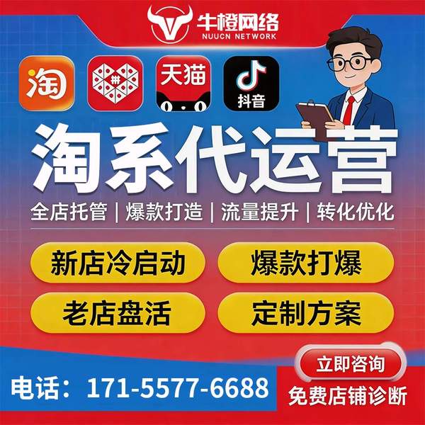 岑溪电商代运营