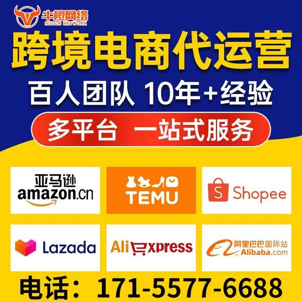 岑溪电商代运营