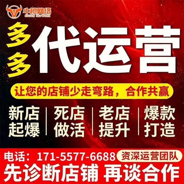 岑溪电商代运营