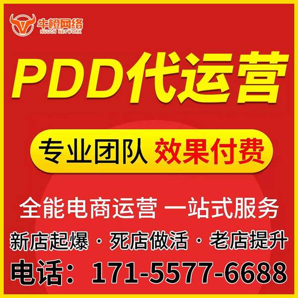 岑溪电商代运营