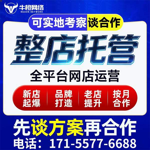 岑溪电商代运营