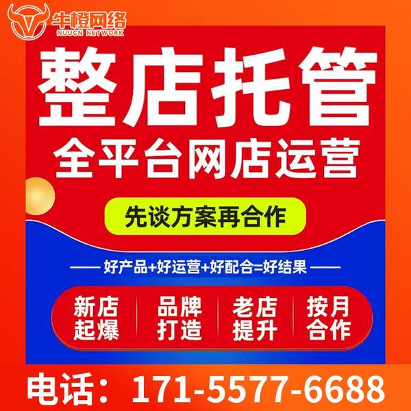 岑溪电商代运营