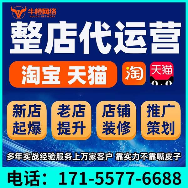 岑溪电商代运营