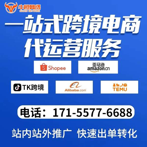 岑溪电商代运营