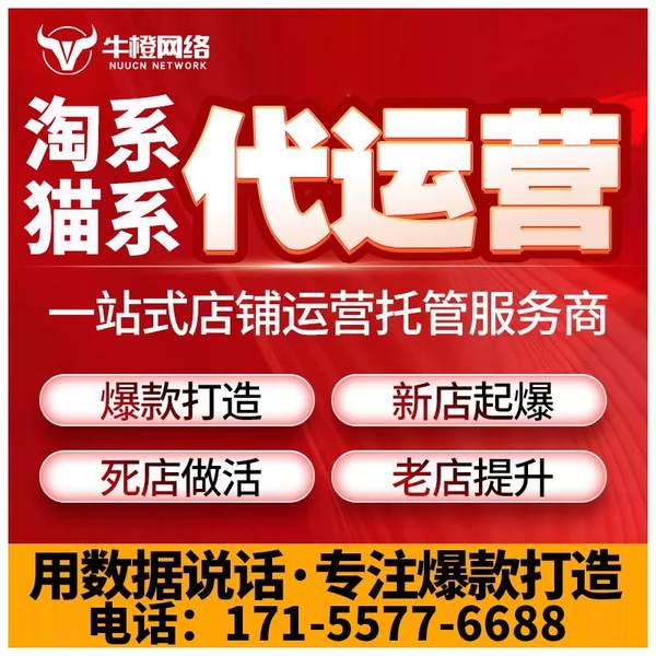 岑溪电商代运营